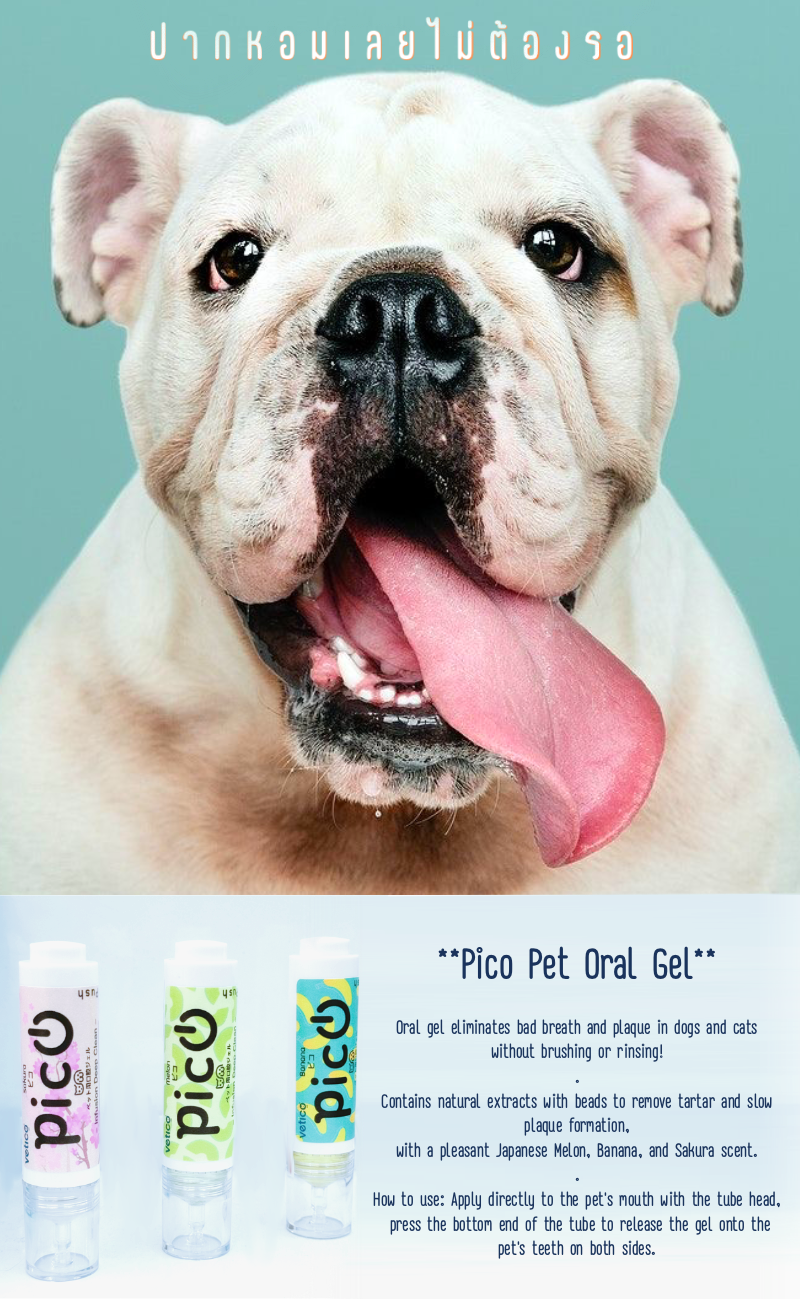 Pico Pet Oral Gel