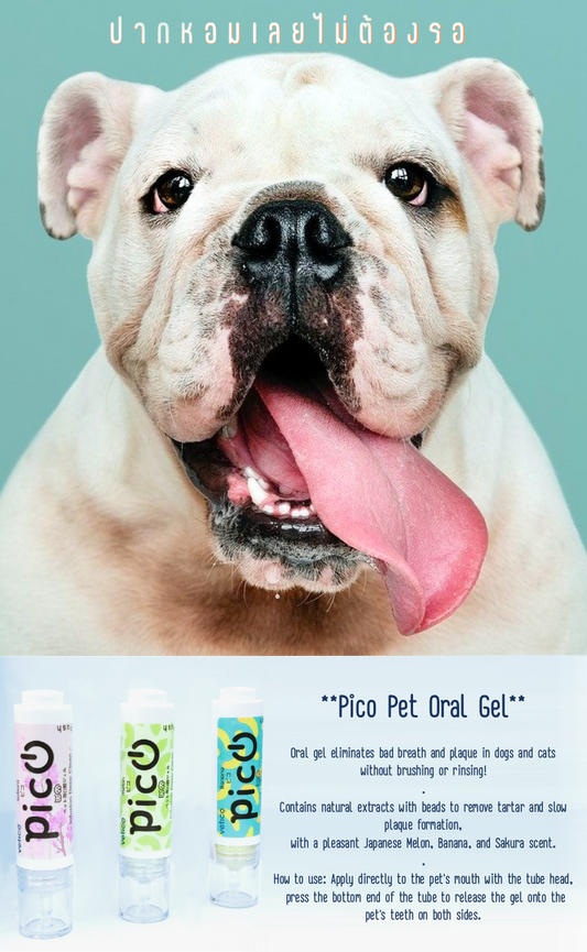 Pico Pet Oral Gel